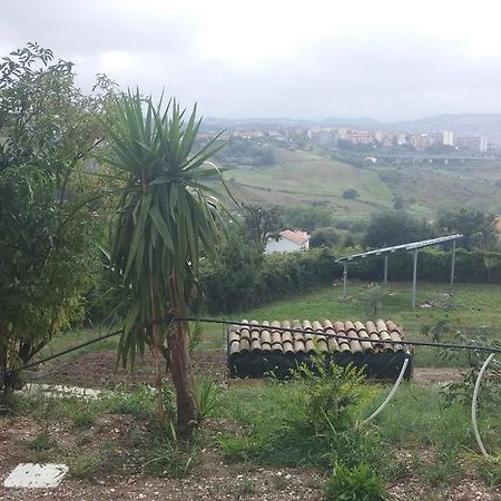 Le Querce Bed and Breakfast Ancona Buitenkant foto