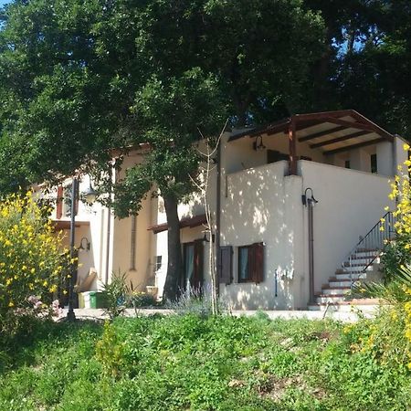 Le Querce Bed and Breakfast Ancona Buitenkant foto