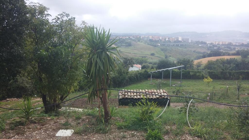 Le Querce Bed and Breakfast Ancona Buitenkant foto