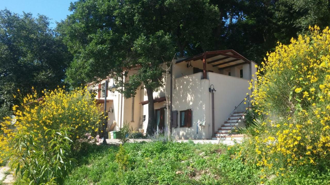 Le Querce Bed and Breakfast Ancona Buitenkant foto